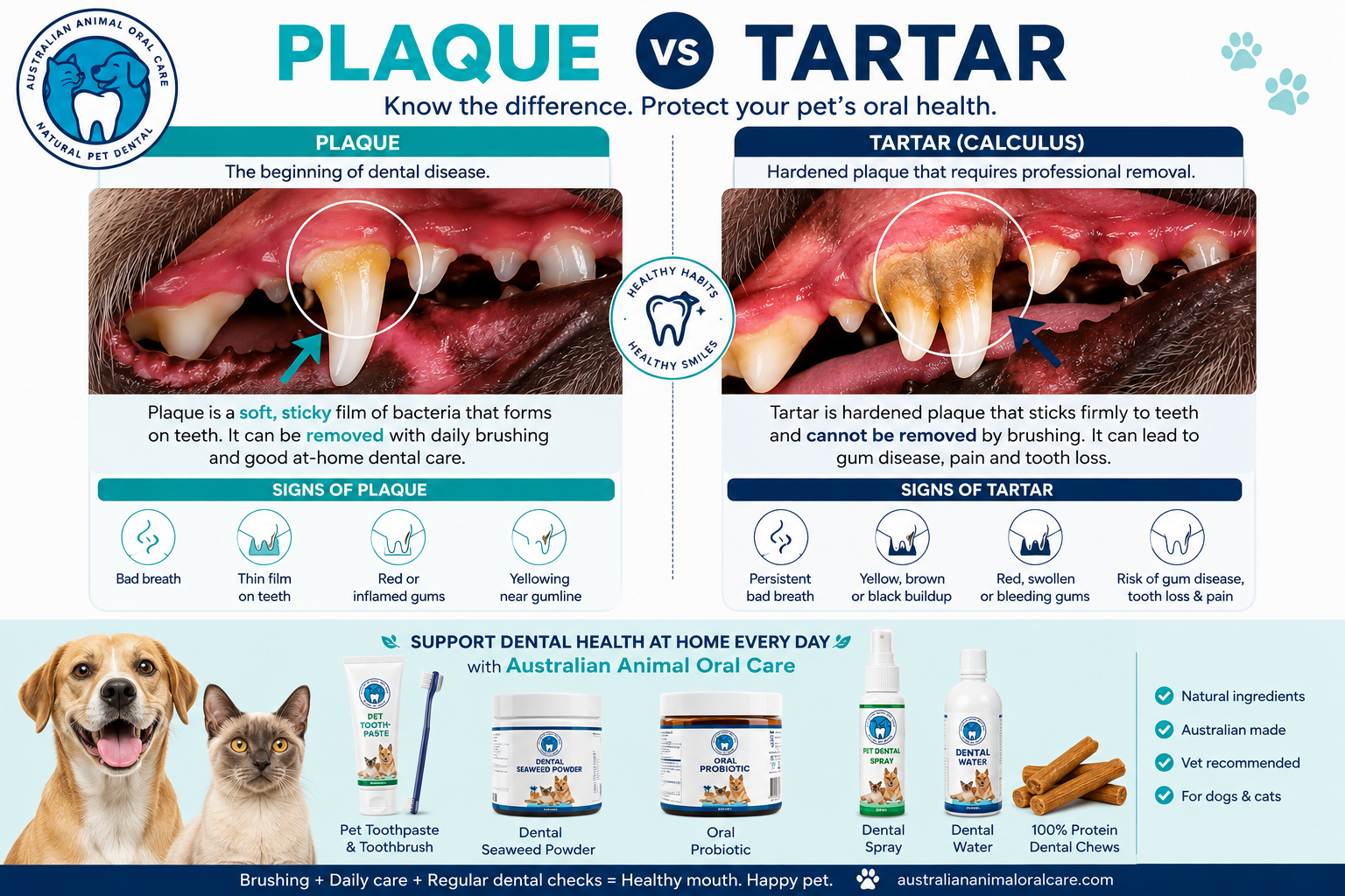 Understanding Plaque vs Tartar in Pet Dental Disease