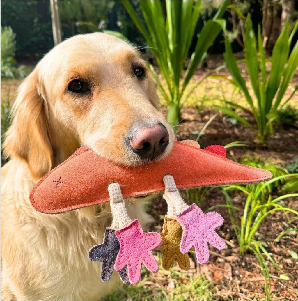 Lizard dental chew toy