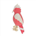 Galah Dental Chew Toy