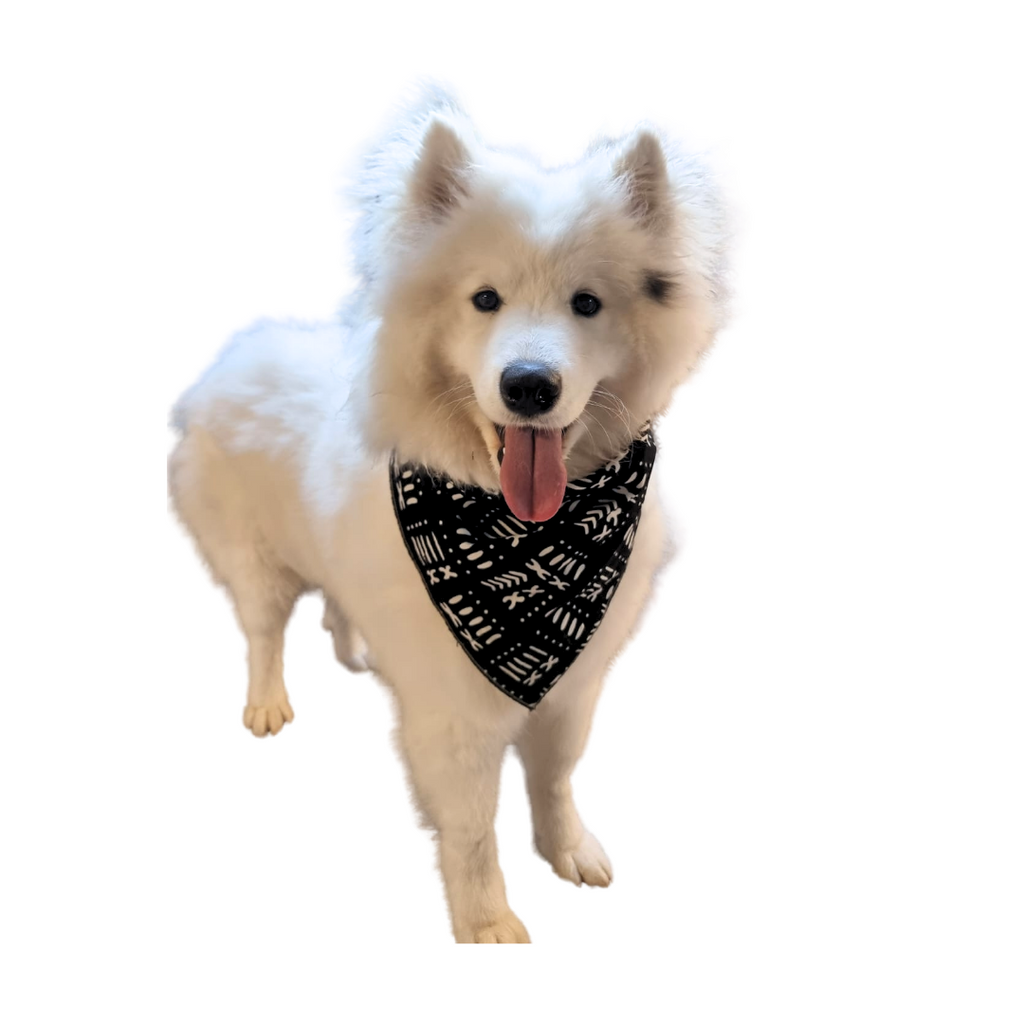 African Dog Bandana