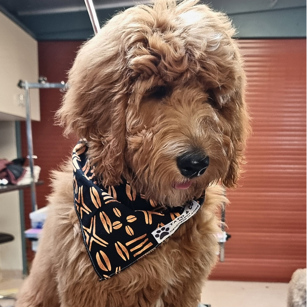 African Dog Bandana