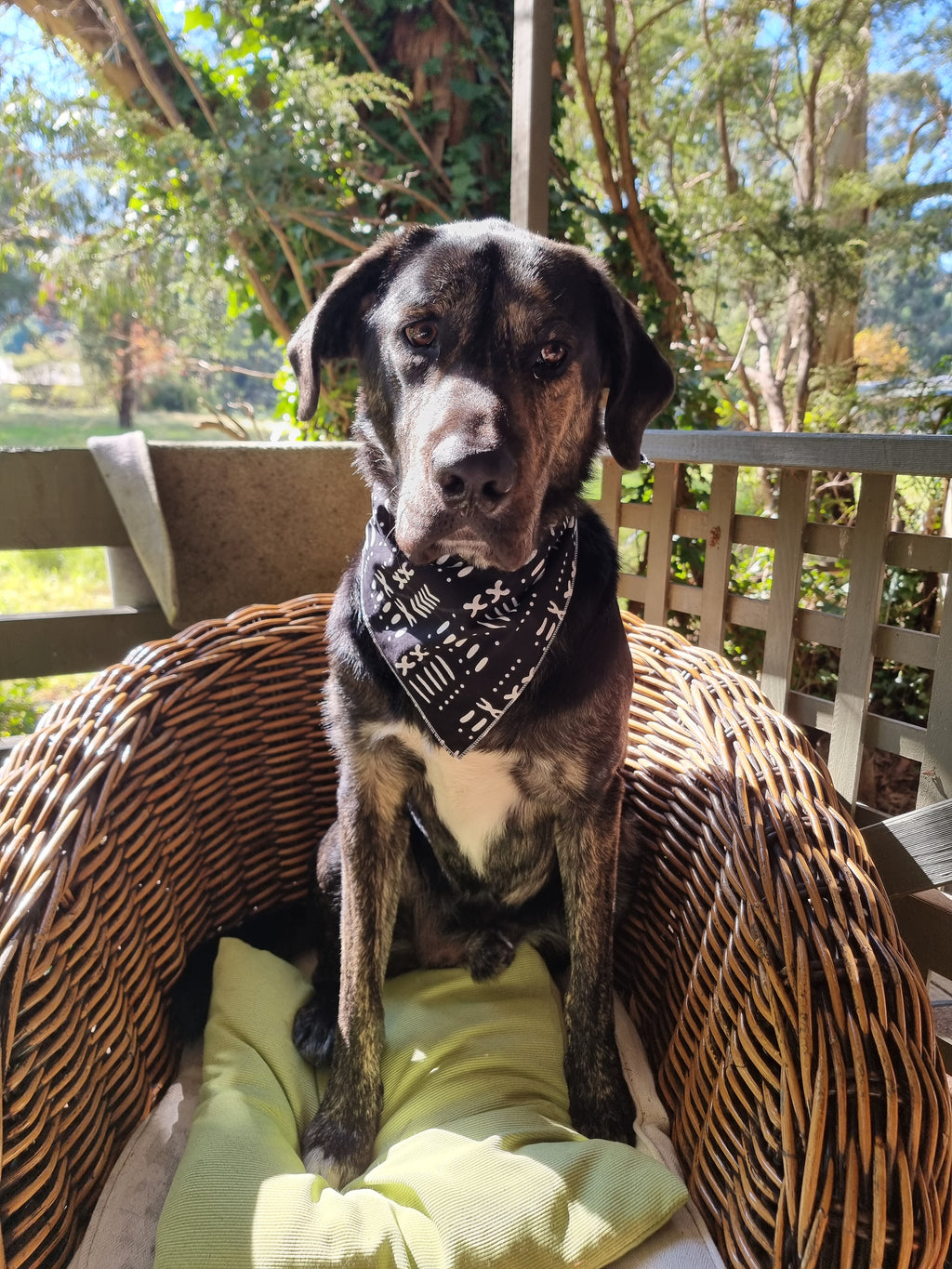 African Dog Bandana