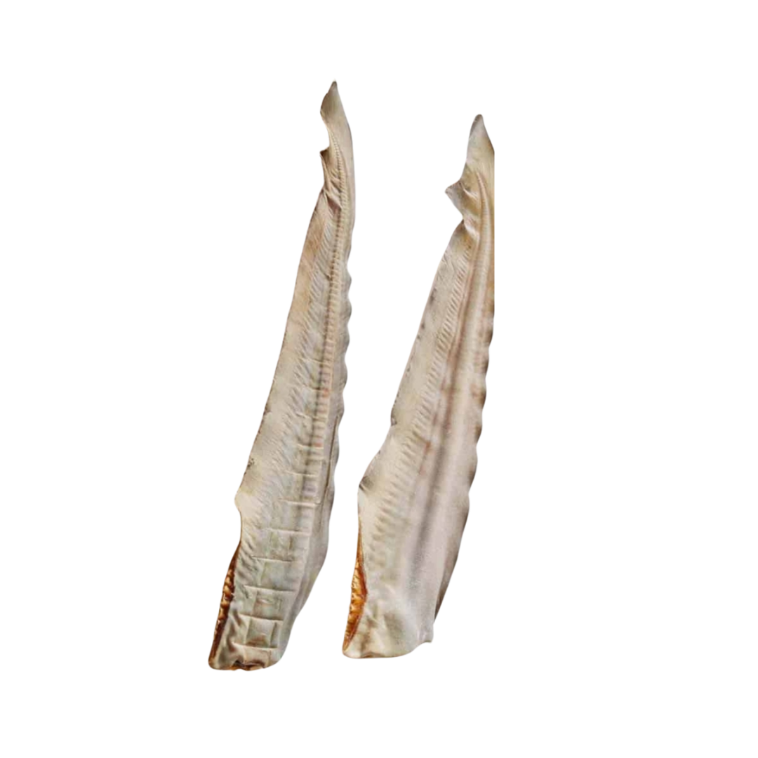 Aussie Shark Tail Dental Chew