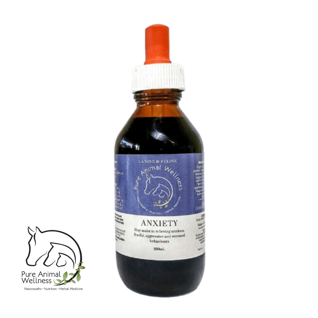 Anxiety relief for dogs