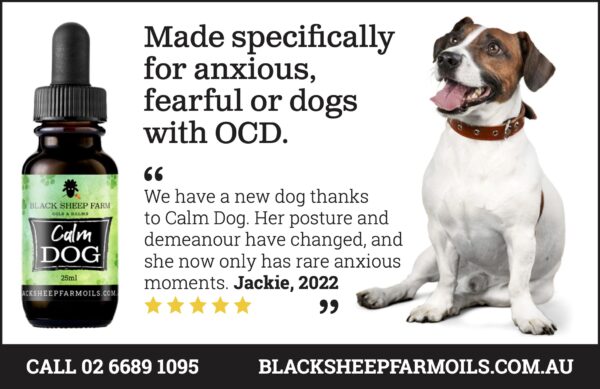 Calm Dog Hemp Oil