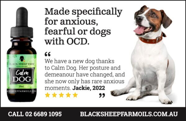 Calm Dog Hemp Oil