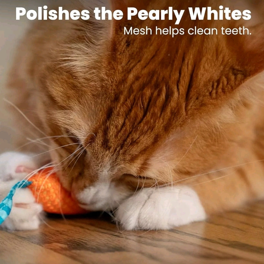 Cat Dental Mice Chew