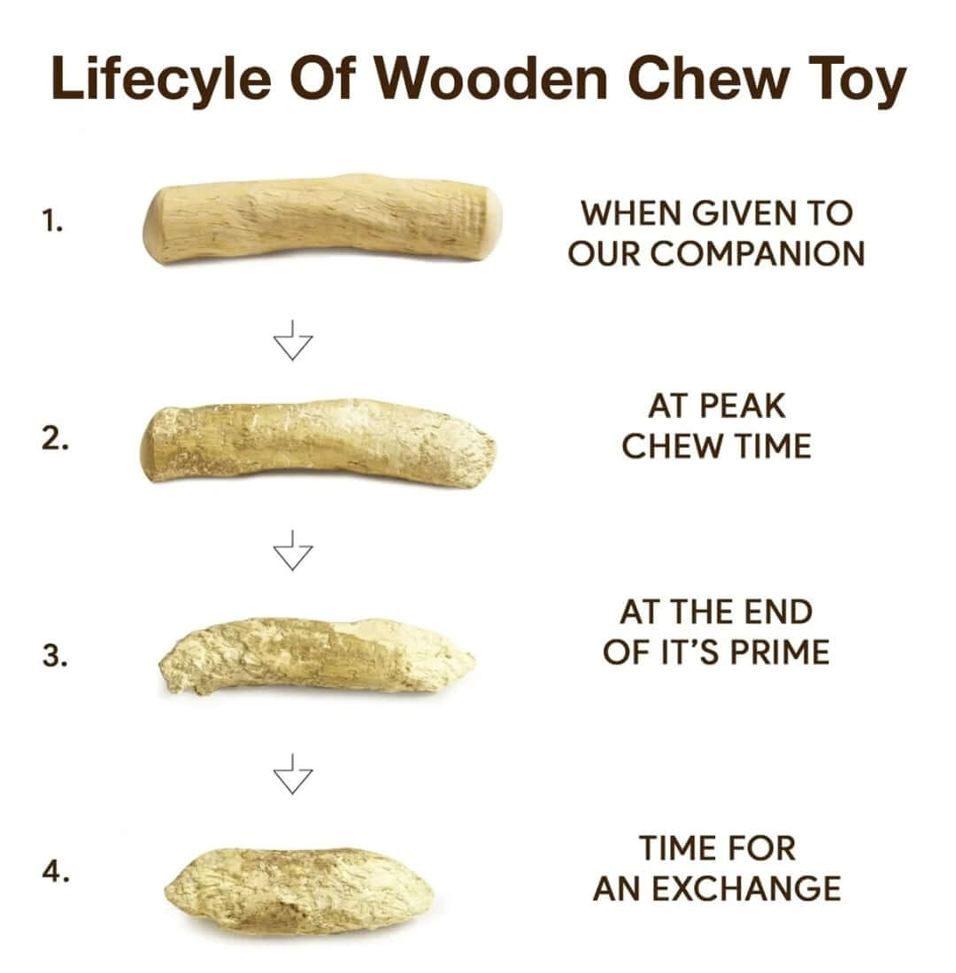 Diagram showing the lifecycle of a wooden chew toy from new to worn-out.