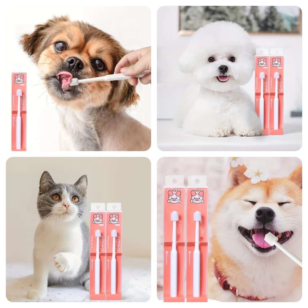 360 Round Dog Toothbrush