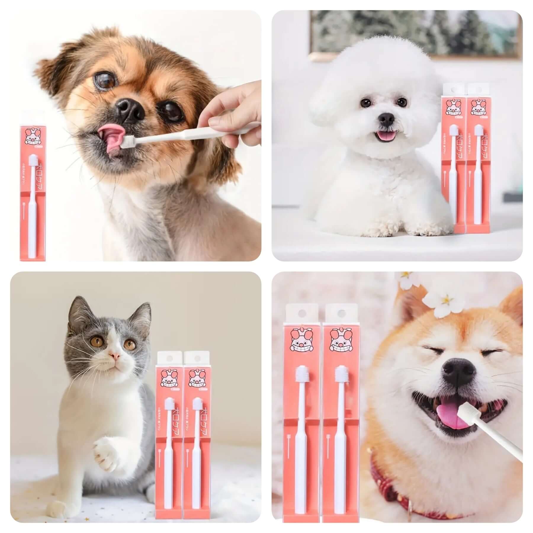 360 Round Dog Toothbrush
