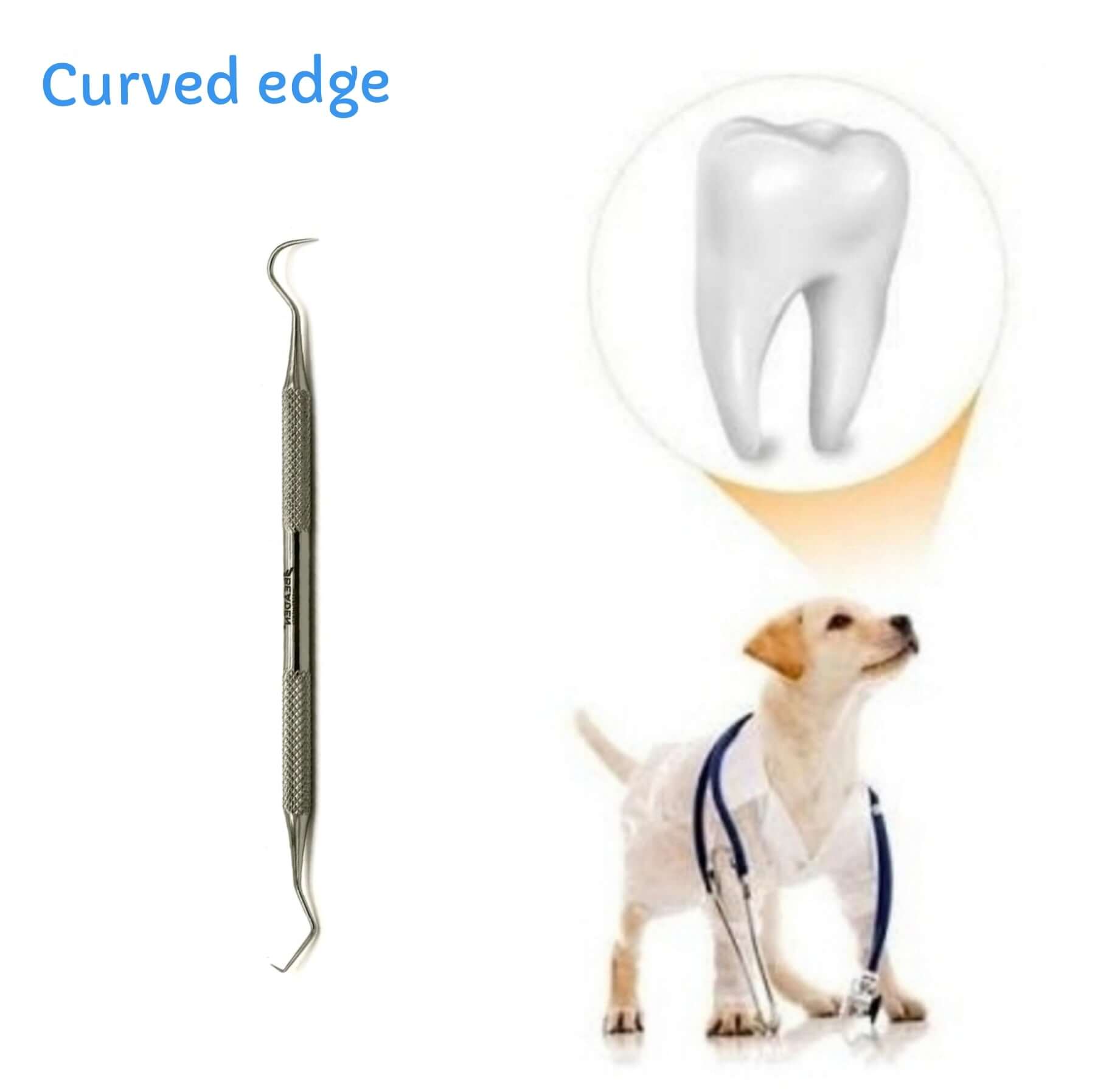 View details for Dental Scaler Curved Edge Dental Scaler Curved Edge