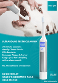 Mirapet Ultrasound Teeth Cleaning Poster
