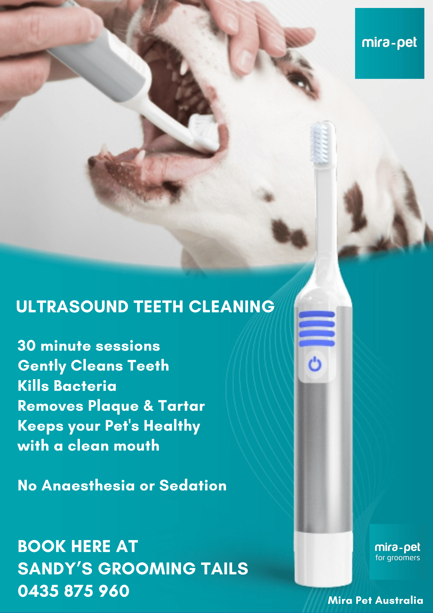 Mirapet Ultrasound Teeth Cleaning Poster