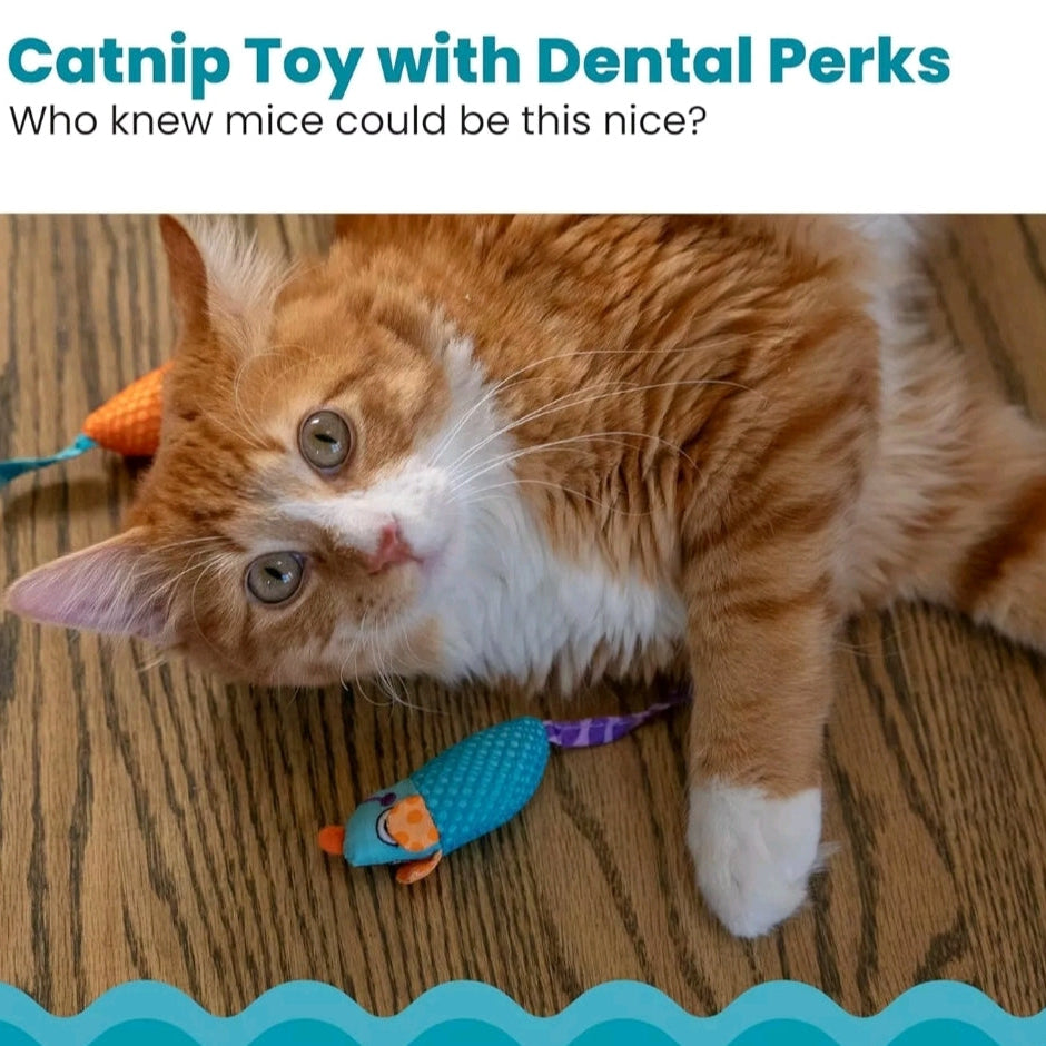 Cat Dental Mice Chew