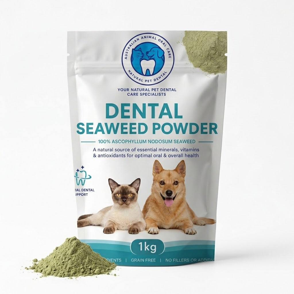 A 1kg stand-up pouch of Australian Animal Health Association Dental Seaweed Powder, featuring a white background with teal text and images of a cat and dog. A green powder pile is shown in the foreground on a white studio background.