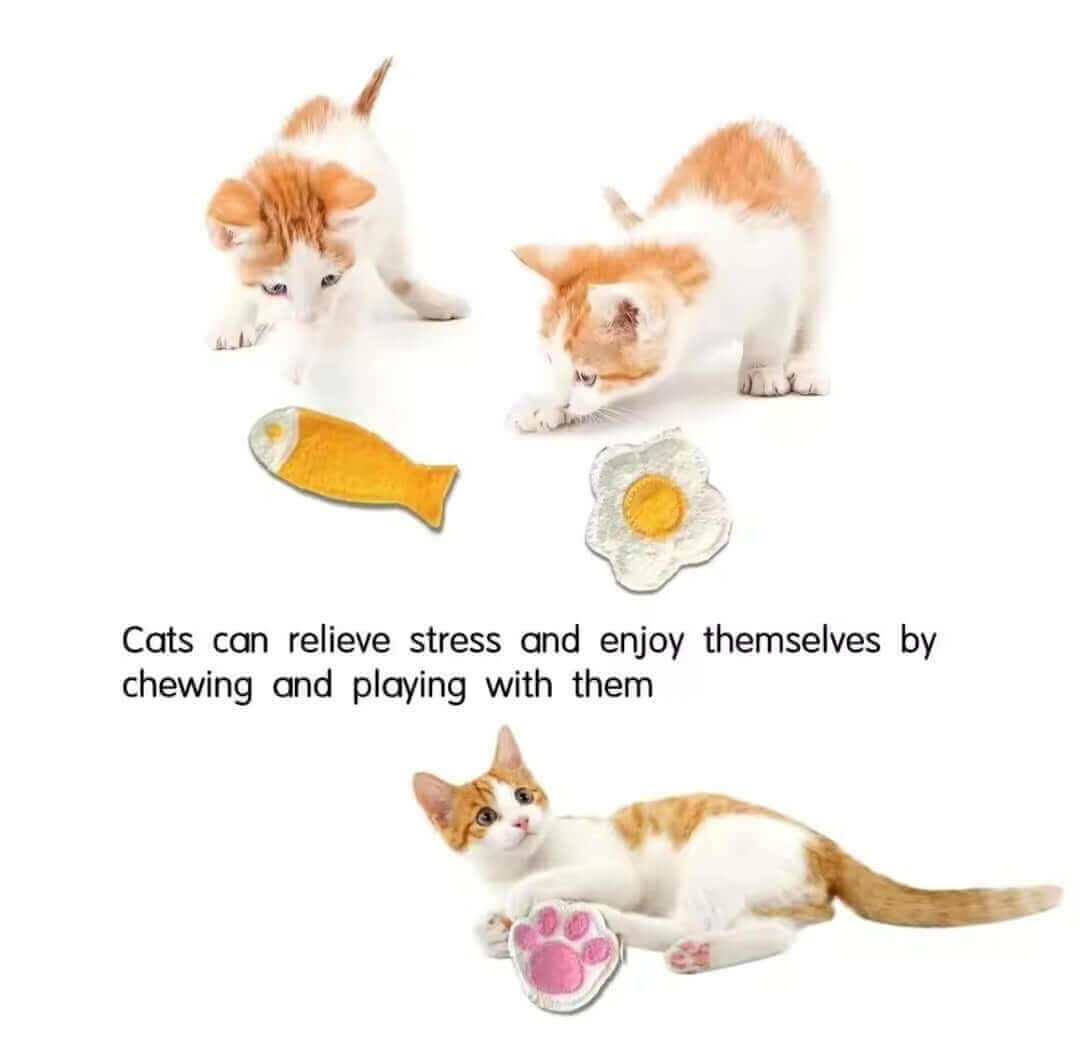  loofah dental chew for cats