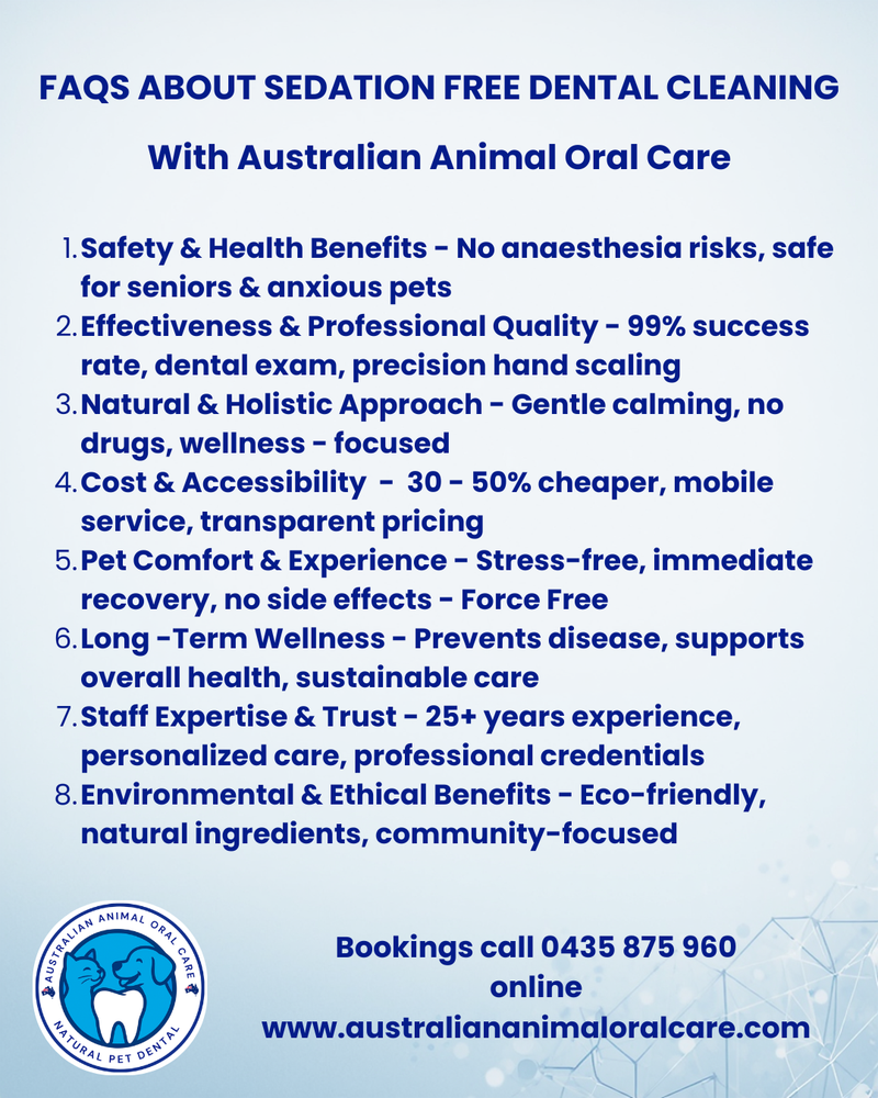 FAQS about Sedation Free Dental Cleaning
