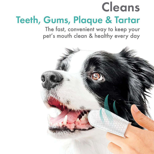 Pet Finger Tip Wipes for cleaning teeth