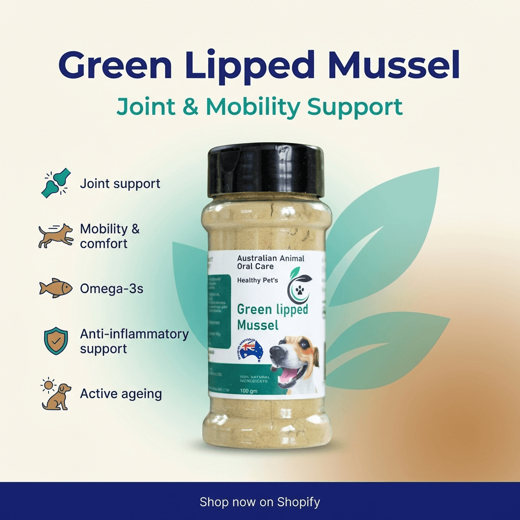 Bottle of Green Lipped Mussel supplement for joint and mobility support with product details on a gradient background.