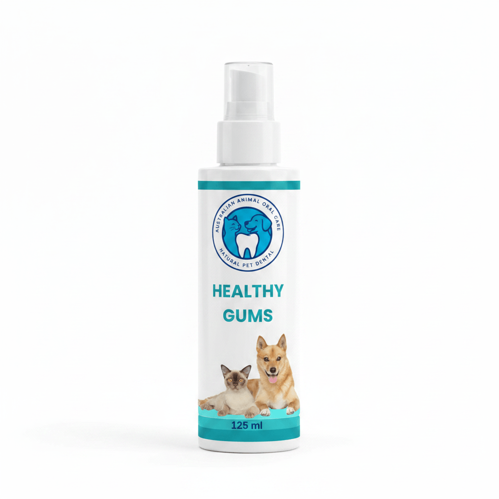 Healthy Gums Dental Treatment 