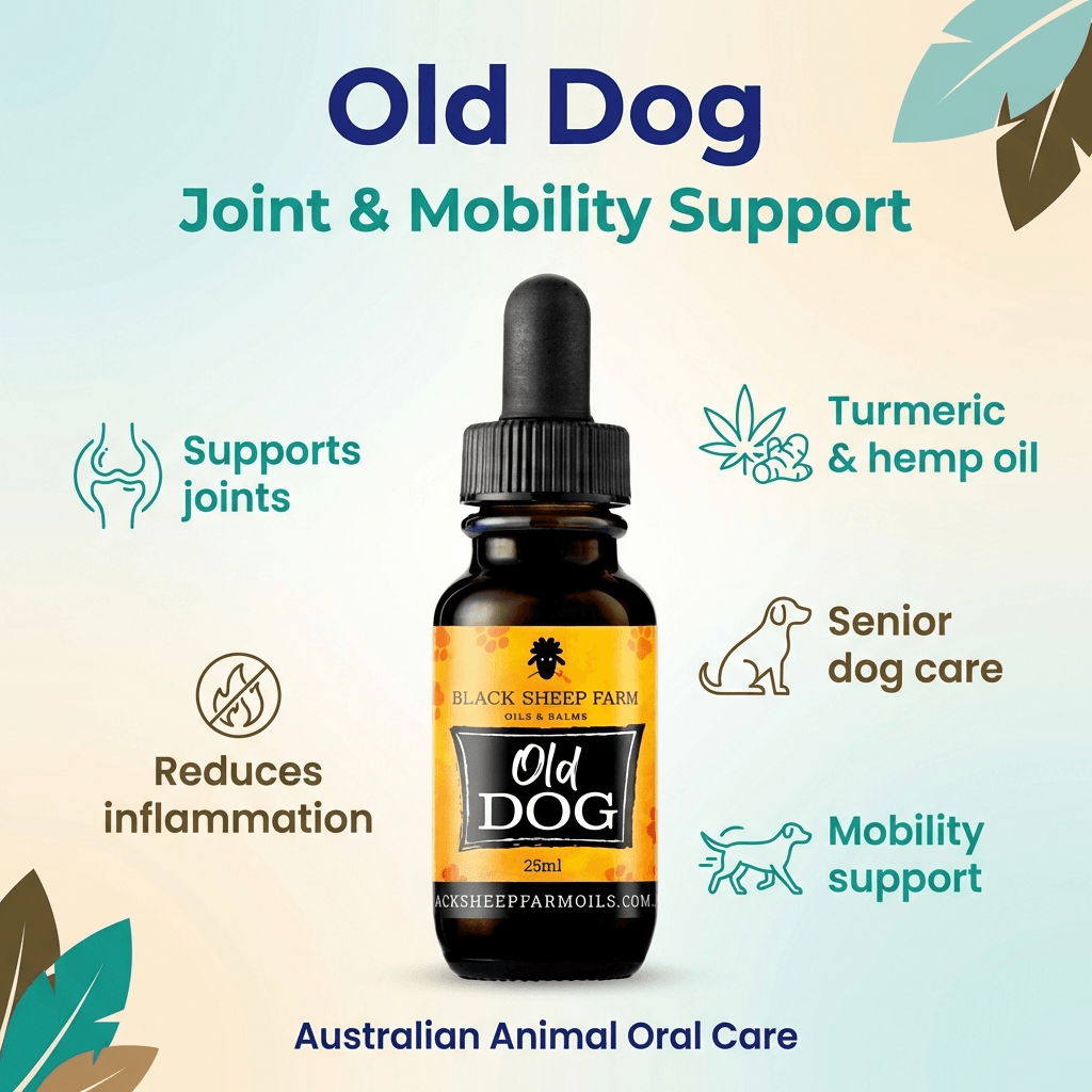 Old Dog Hemp Oil