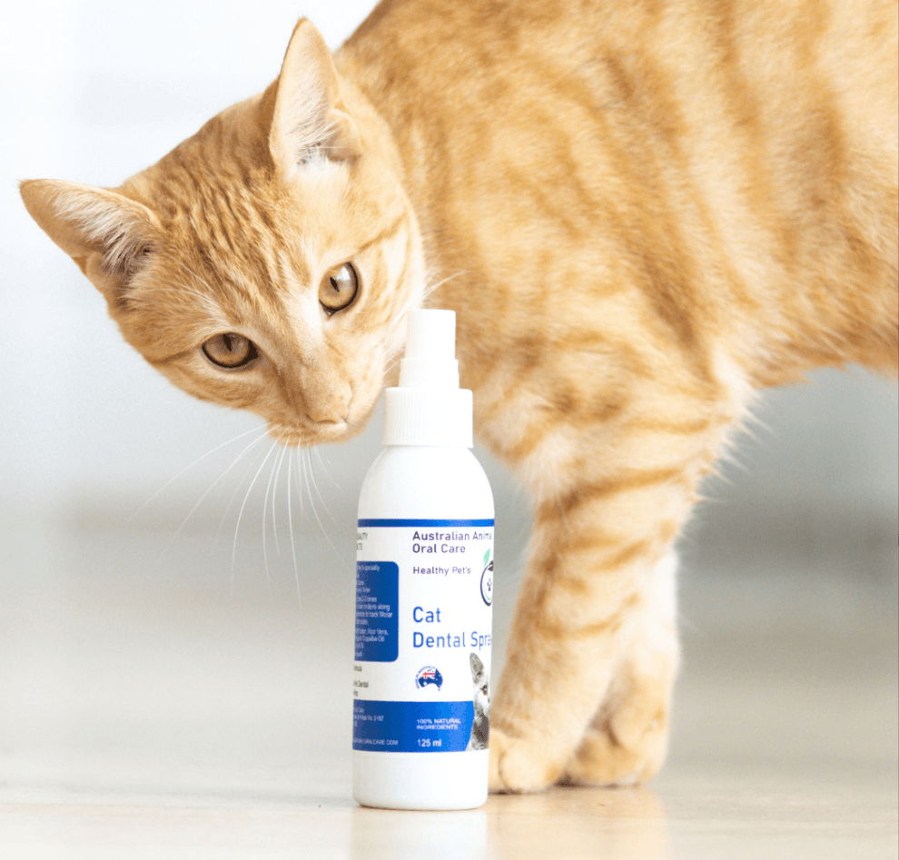 Natural Cat Dental Spray