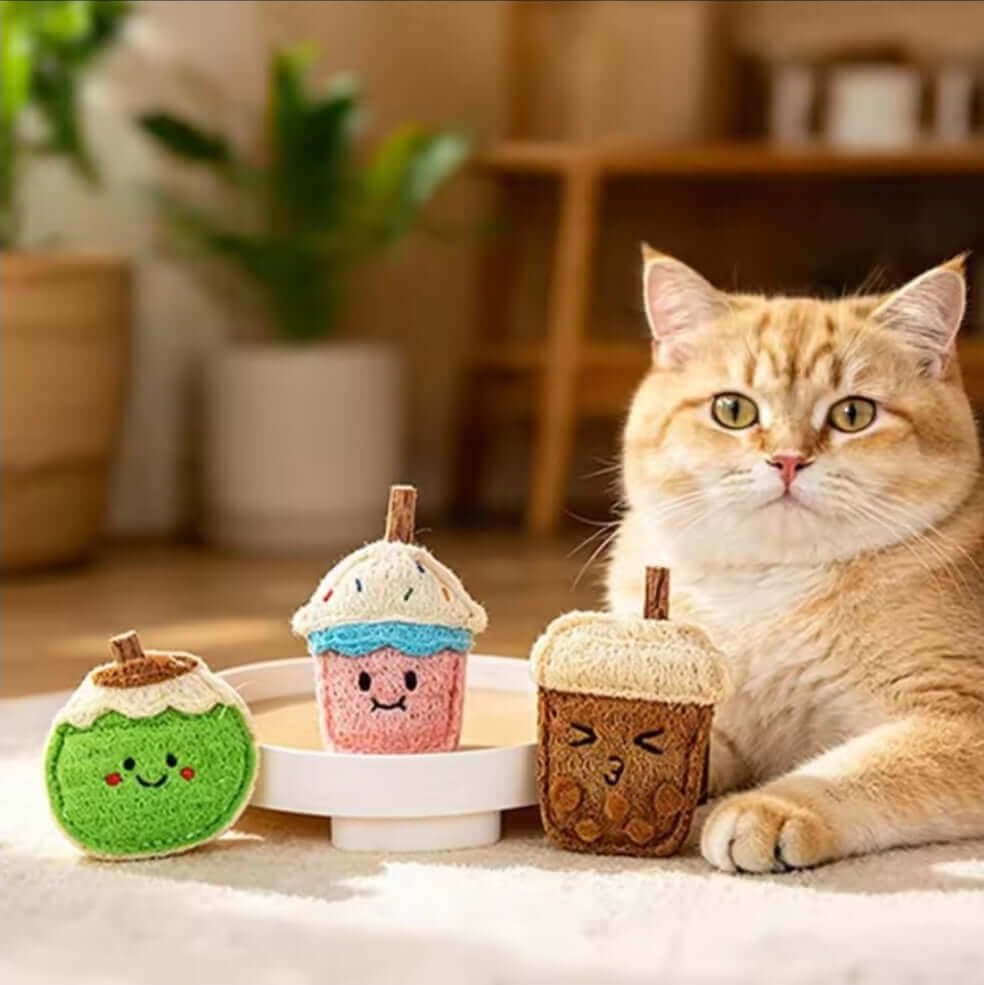 Cat with Loofah Dental Chews