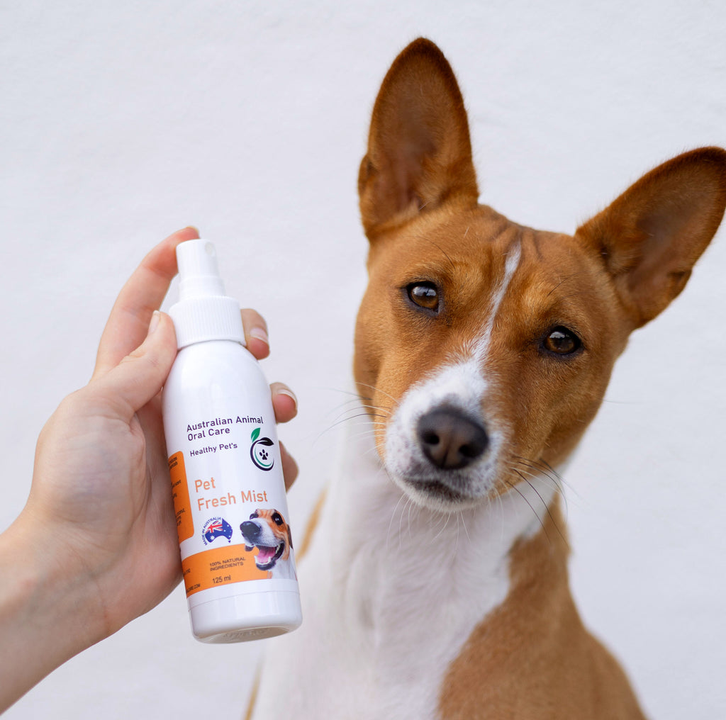Grooming Mist