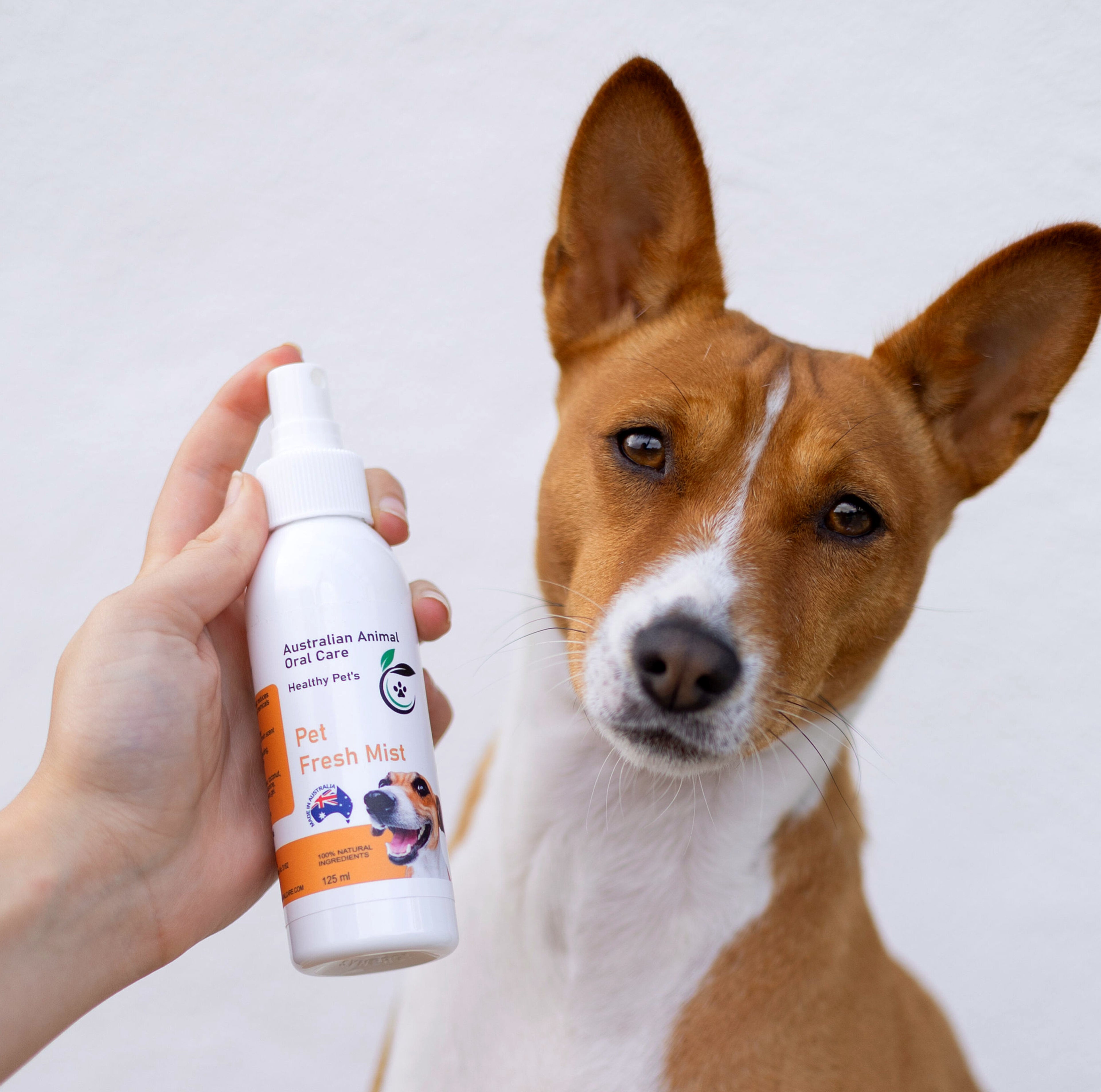 Grooming Mist