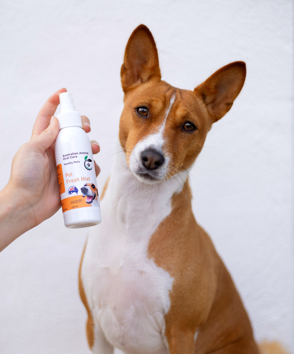 Grooming Mist