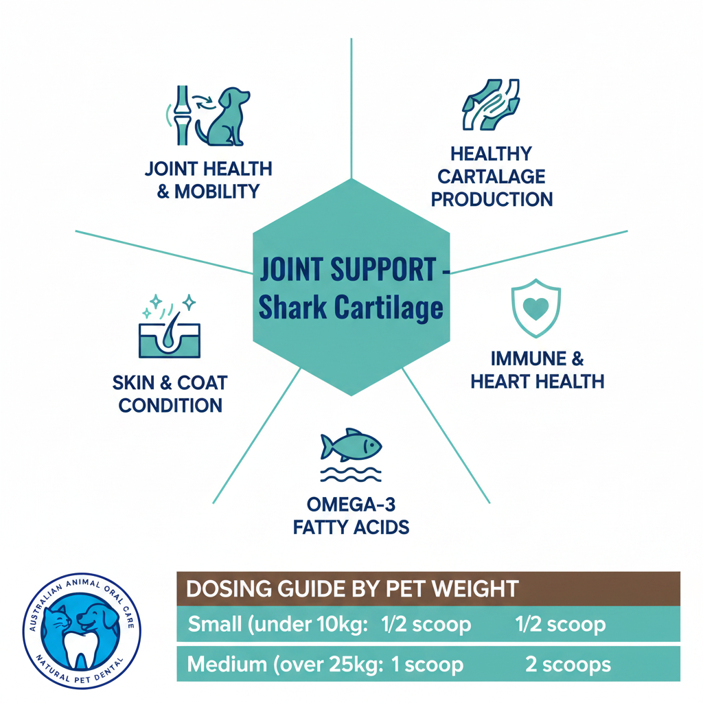 Benefits of Joint Support Supplement