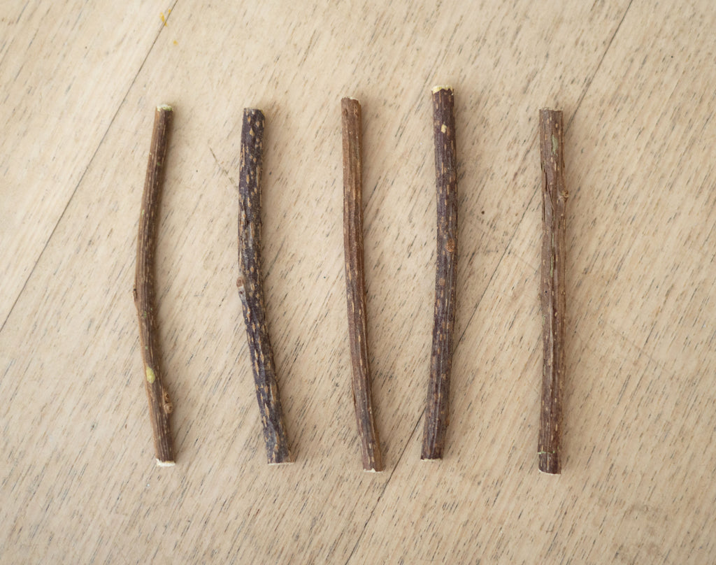 Matatabi Cat Dental Stick
