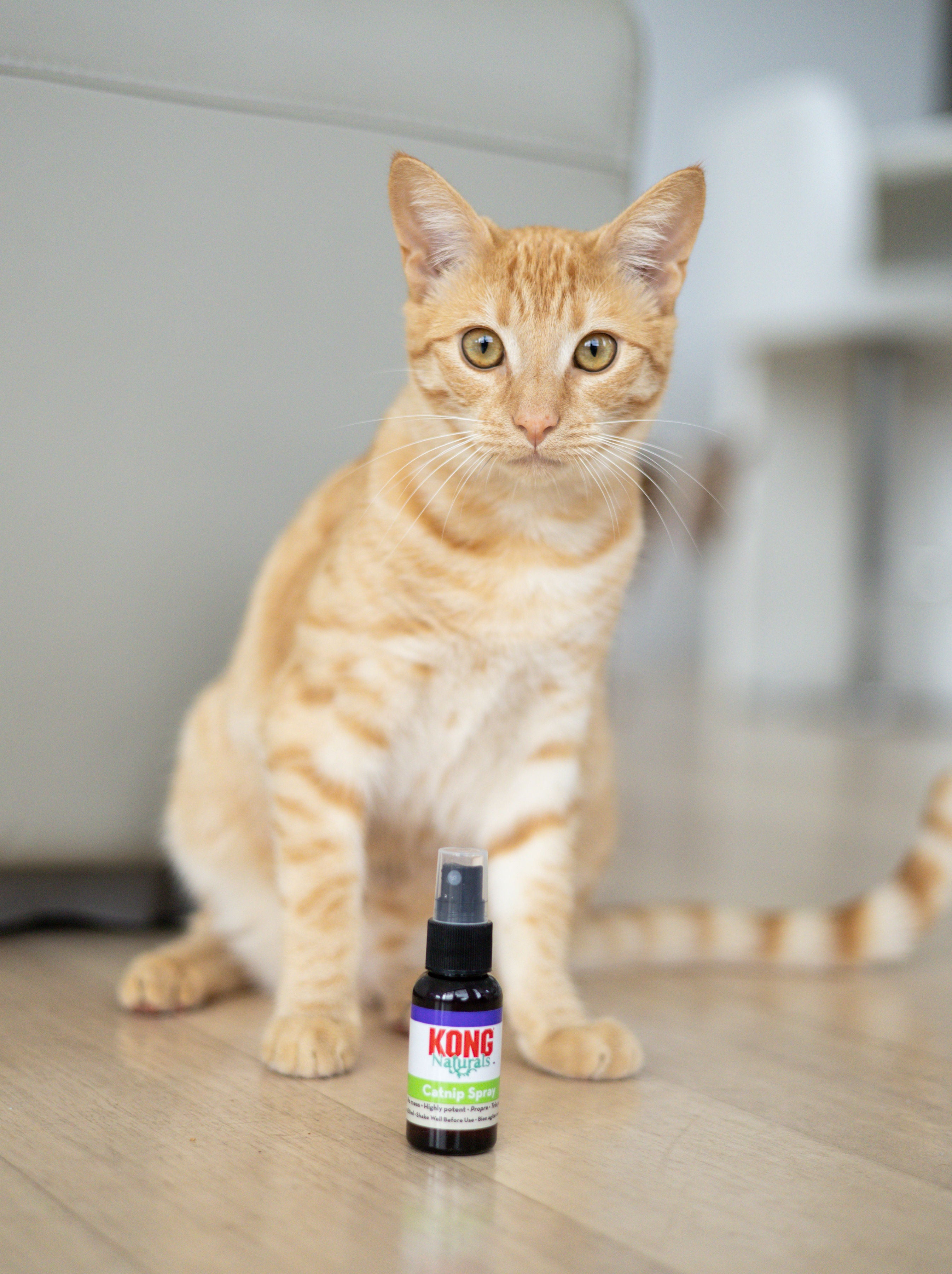 Catnip Spray