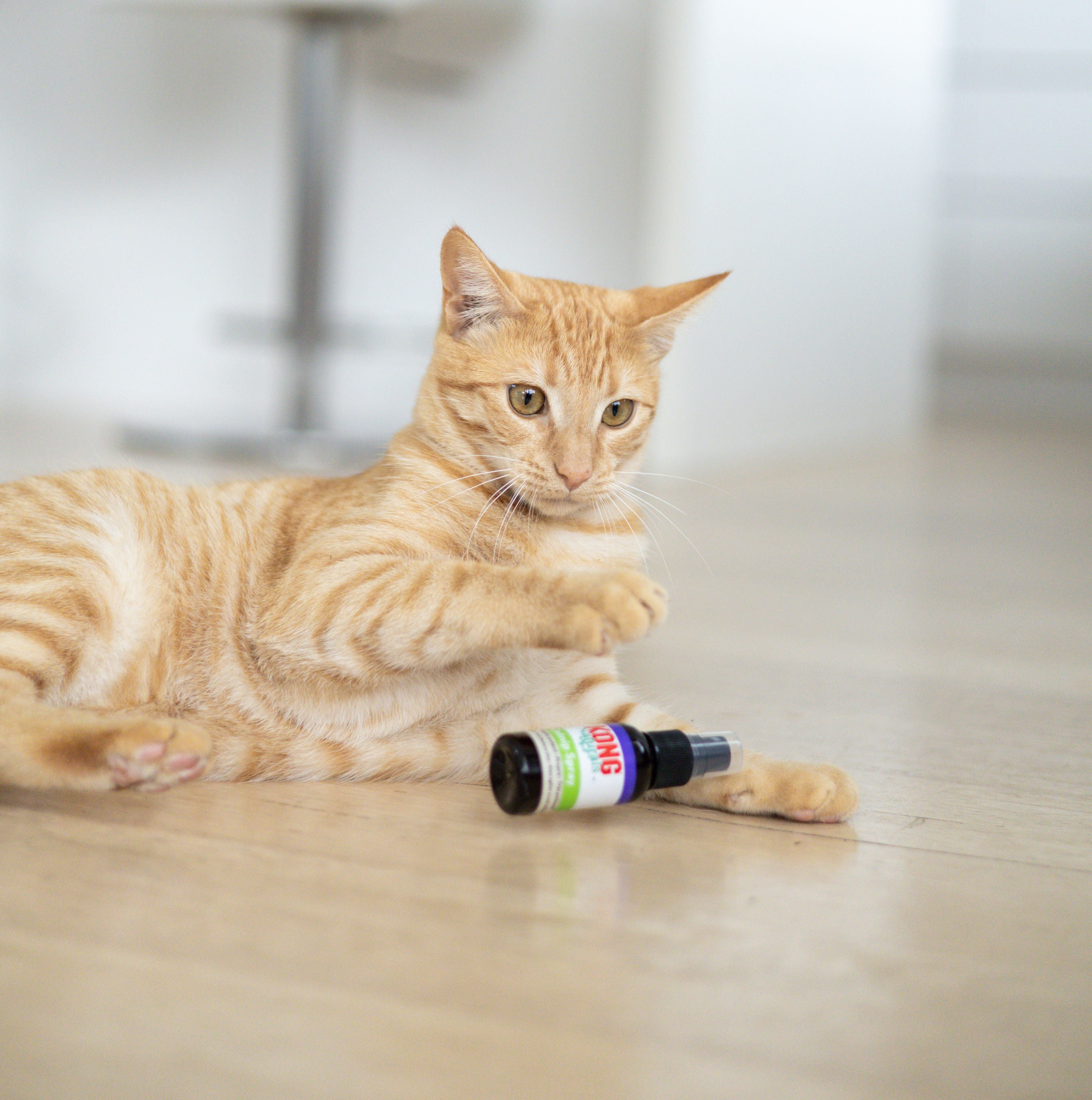 Catnip Spray