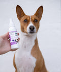 Pet Calm Mist