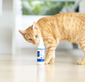 Natural Cat Dental Spray