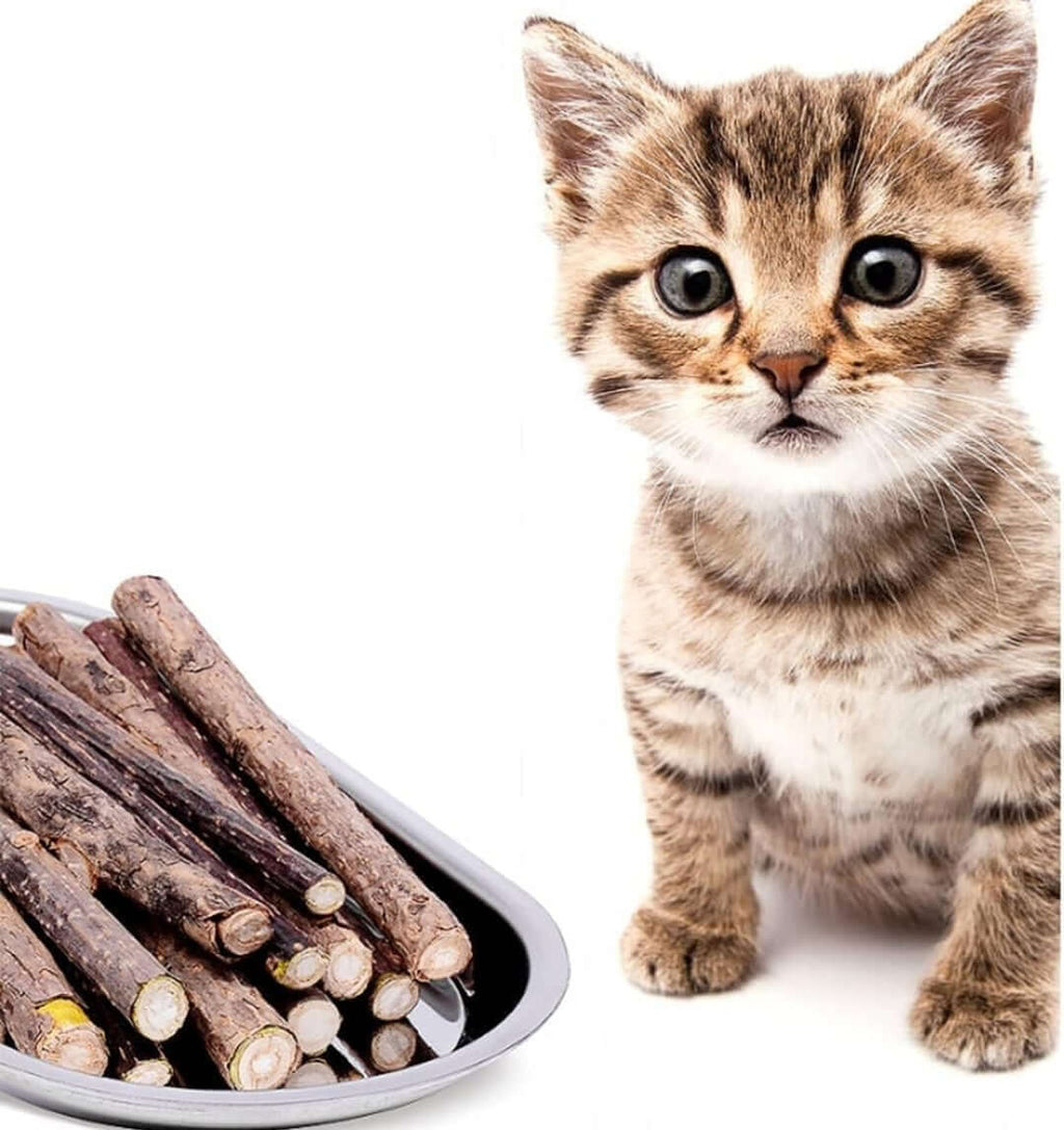 Cat with Matatabi sticks