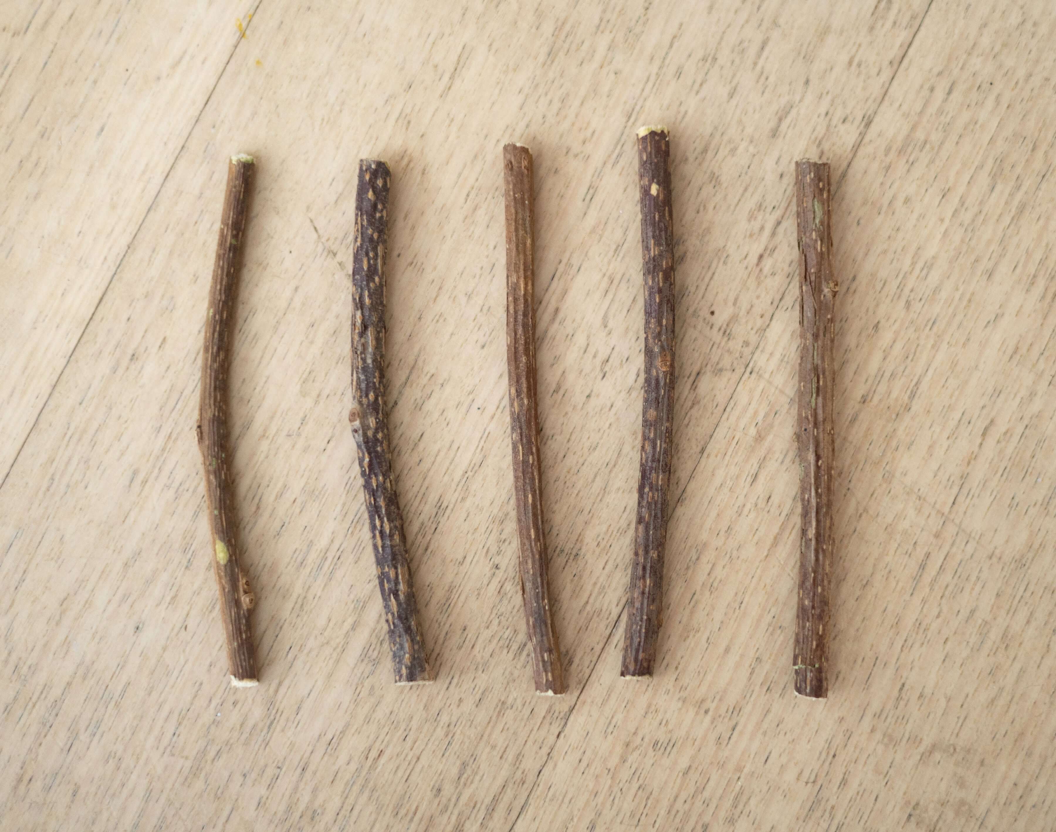 Matatabi Cat Dental Stick