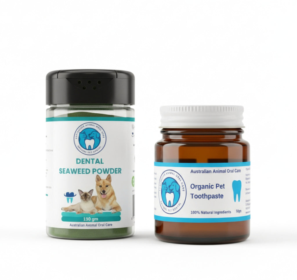 Mini Pet Dental Kit