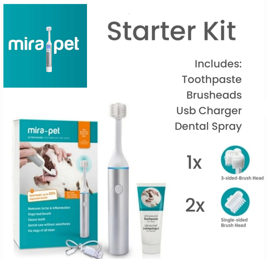 Mira Pet dental care starter kit with toothbrush, toothpaste, and packaging on a white background.