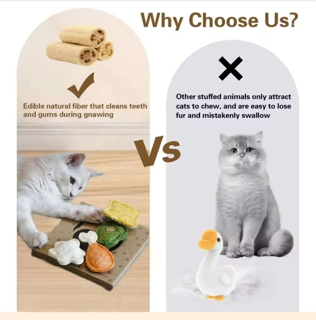  loofah dental chew for cats