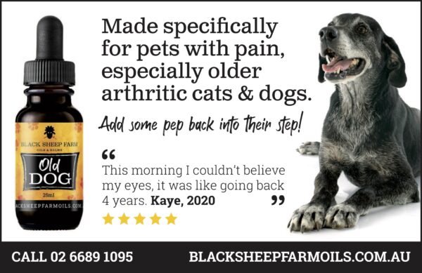 Old Dog Hemp Oil
