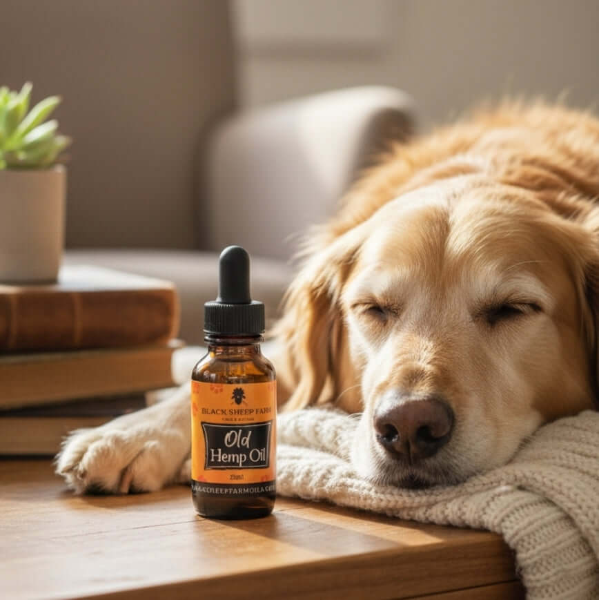 Old Dog Hemp Oil with Dog