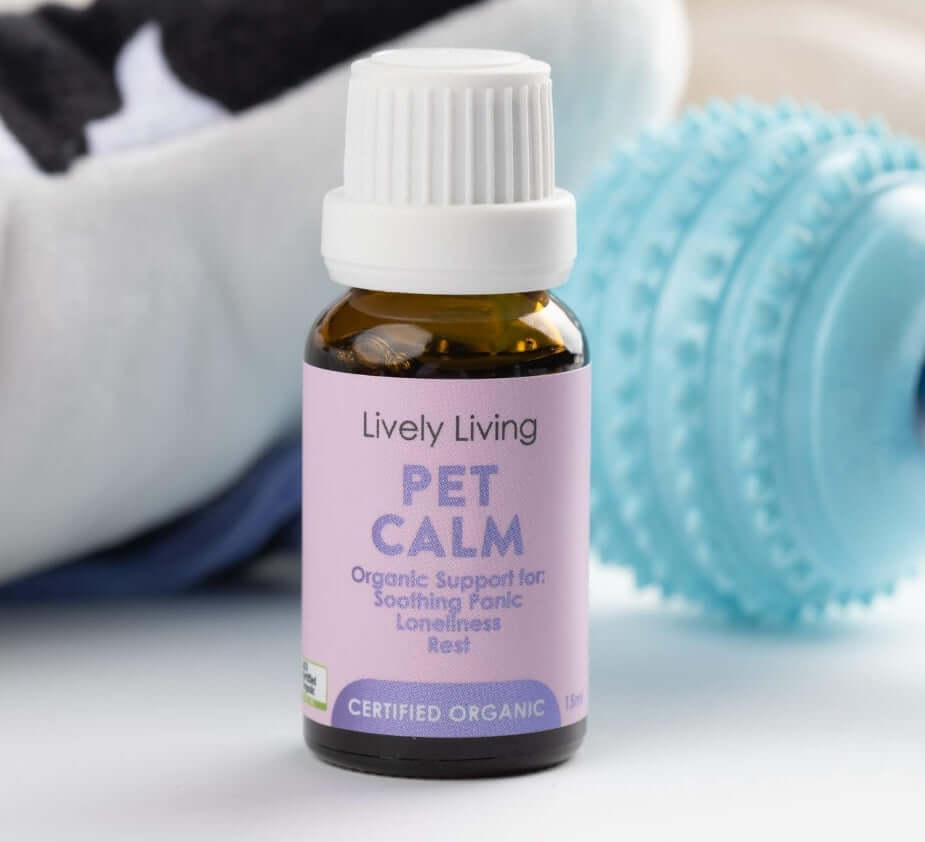 Pet Calm Essential Oil