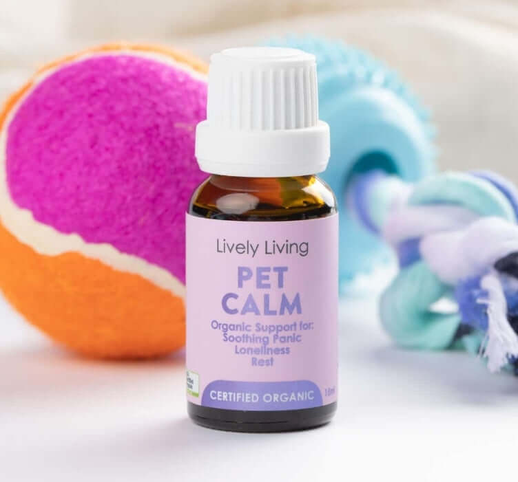 Pet Calm Essential Oil