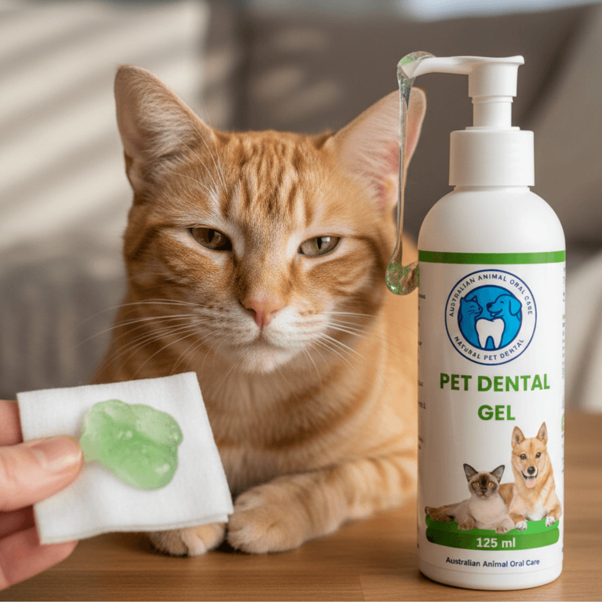 Cat with a bottle of Pet Dental Gel and a sample on a wooden surface