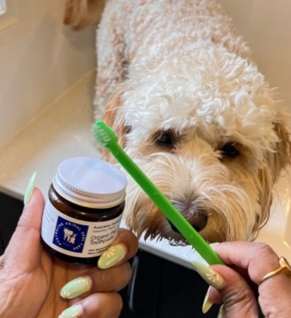 Australian Animal Oral Care