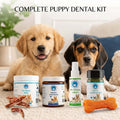 Puppy dental kit with toothpaste, seaweed powder, dental spray and brushes