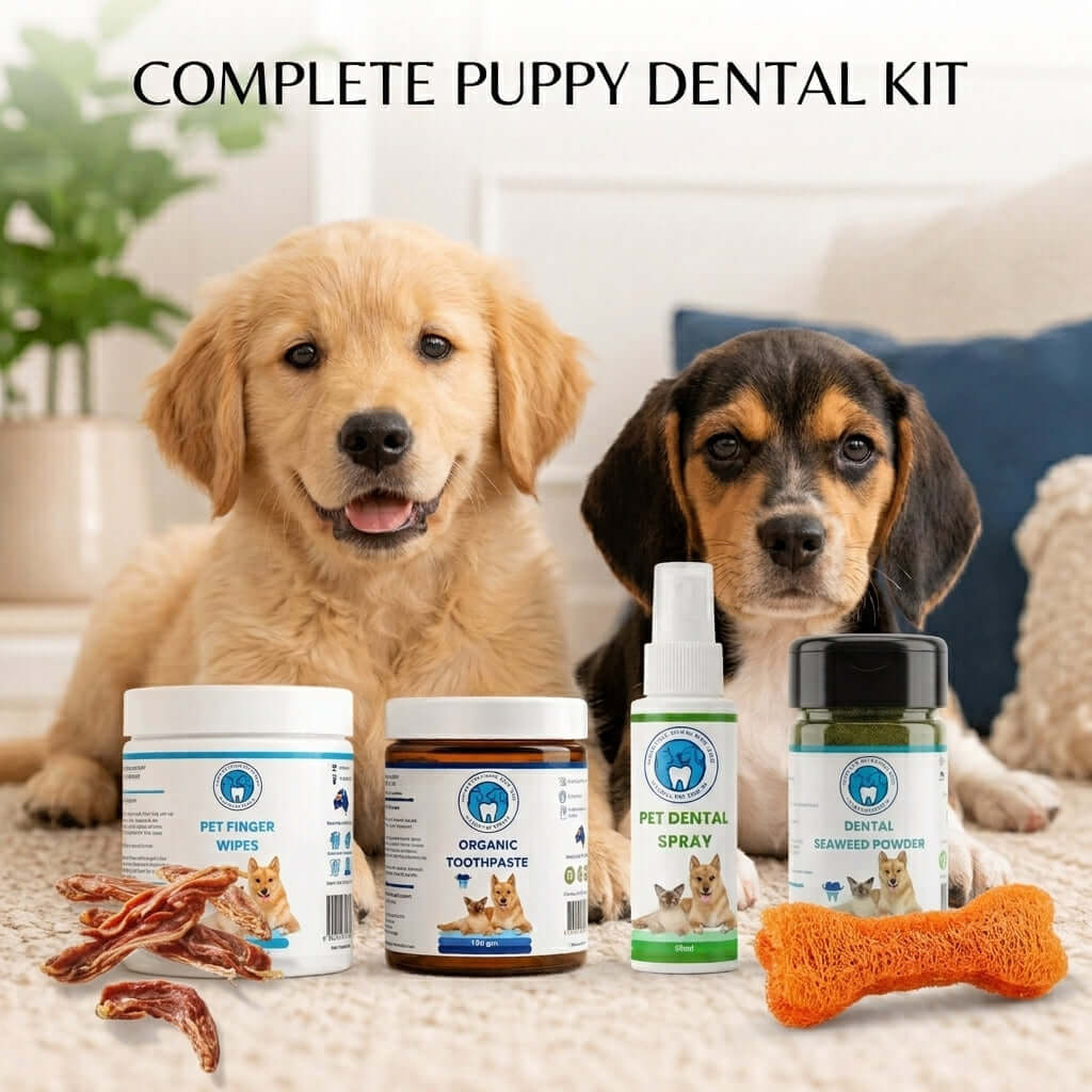 Puppy dental kit with toothpaste, seaweed powder, dental spray and brushes