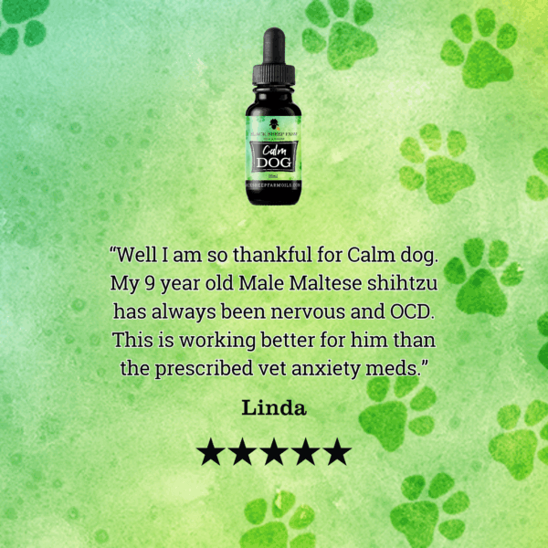 Calm Dog Hemp Oil